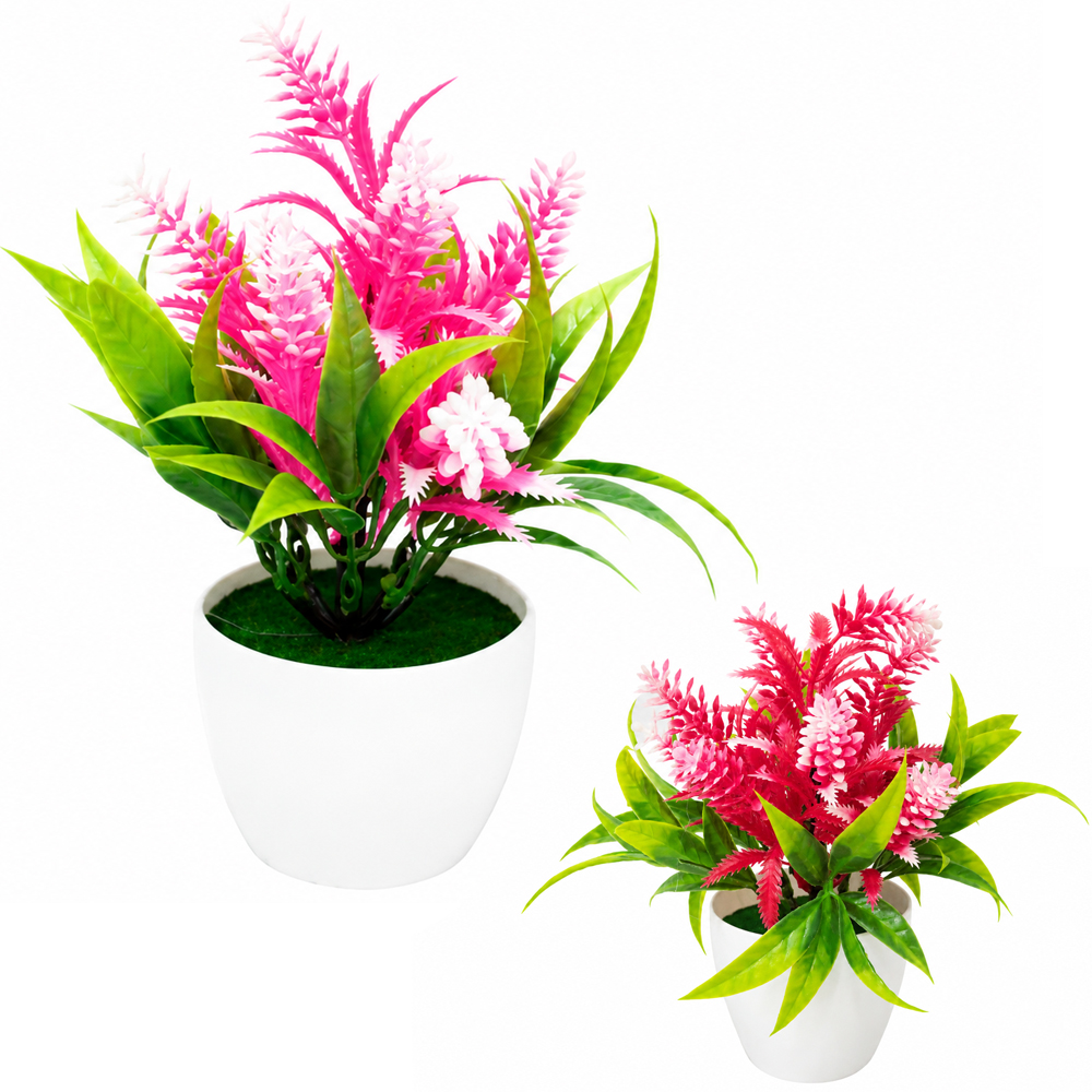 FLOR PERMANENTE CELOSIA COM VASO DE PLASTICO REDONDO 18X8CM VCF