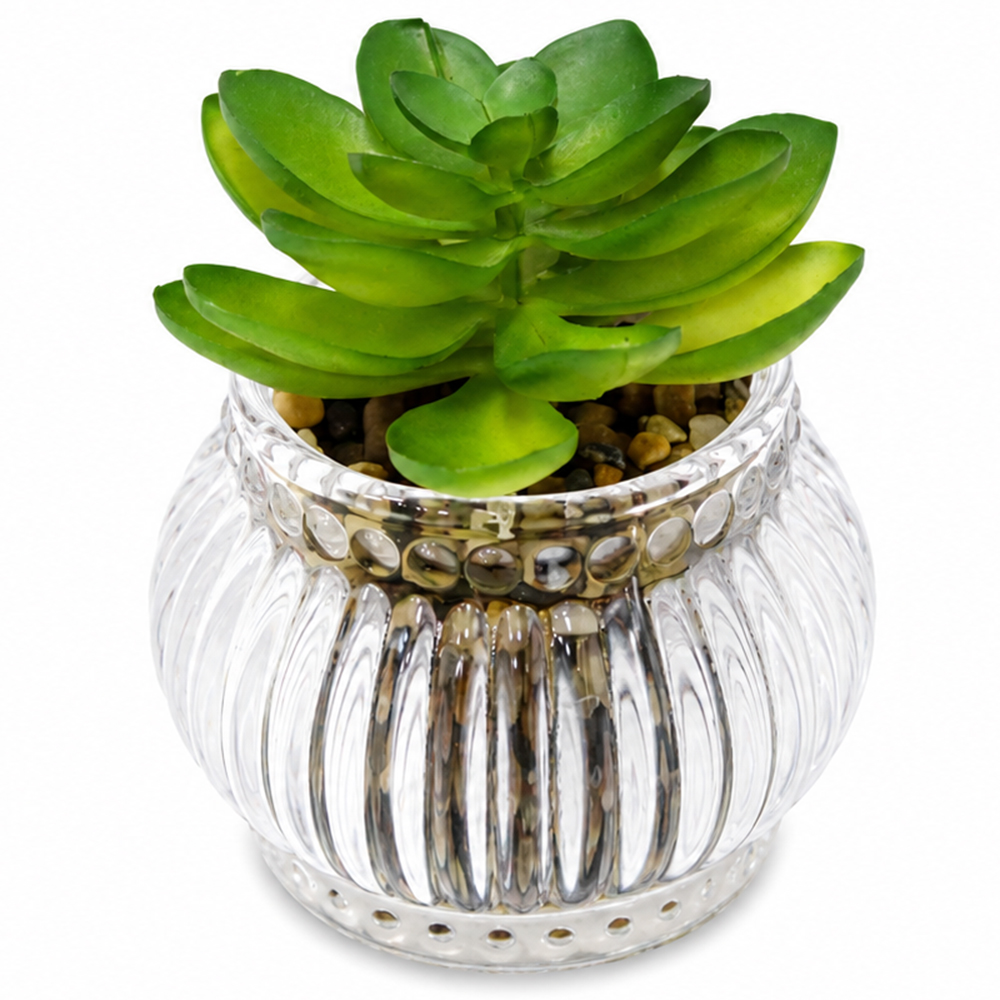 FLOR PERMANENTE SUCULENTA COM VASO DE VIDRO REDONDO 8X7CM DE Ø