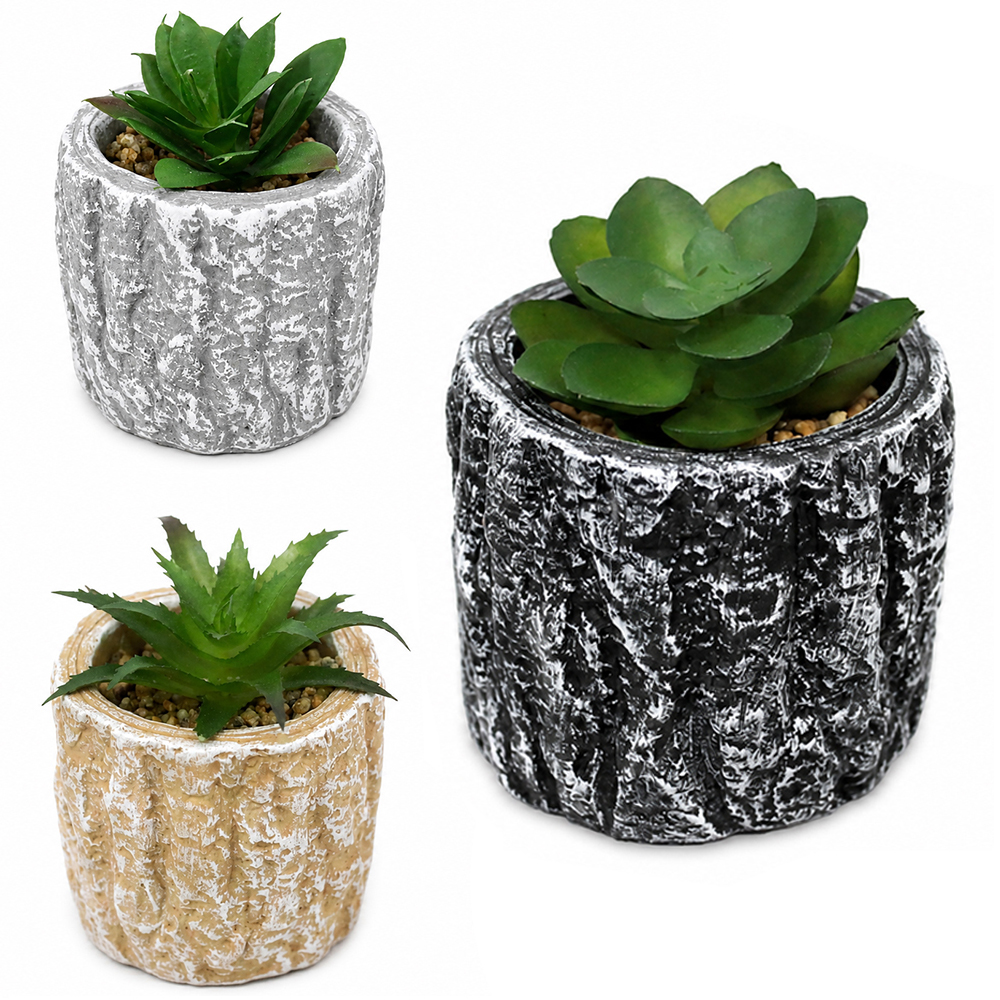 FLOR PERMANENTE SUCULENTA COM VASO DE CIMENTO REDONDO 9X7CM DE Ø