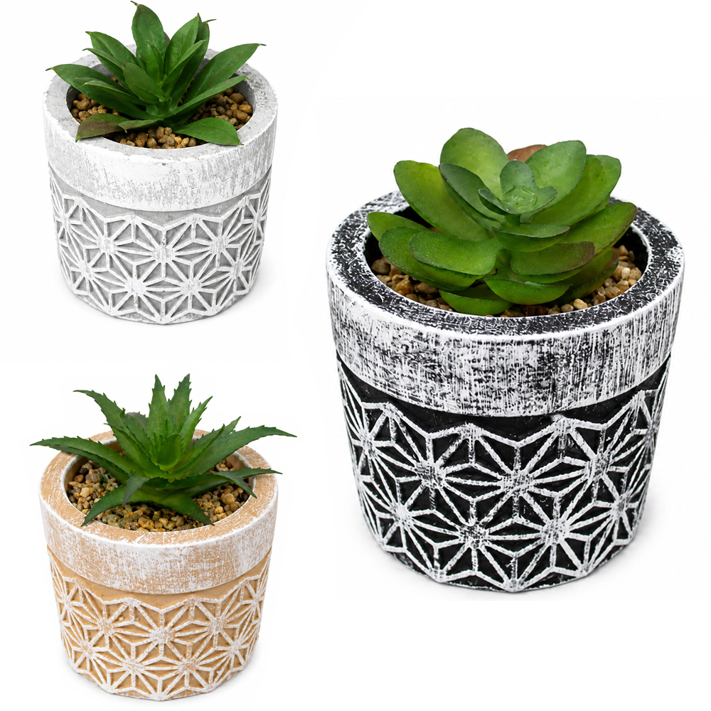FLOR PERMANENTE SUCULENTA COM VASO DE CIMENTO REDONDO 8X7CM DE Ø