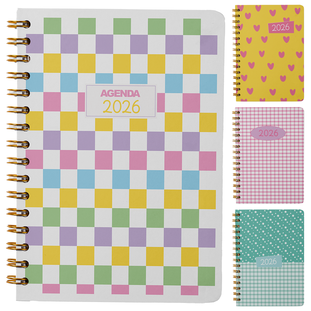 AGENDA 2026 CAPA DURA ESPIRAL ESTILOS 168 FOLHAS 18,7X13,7CM