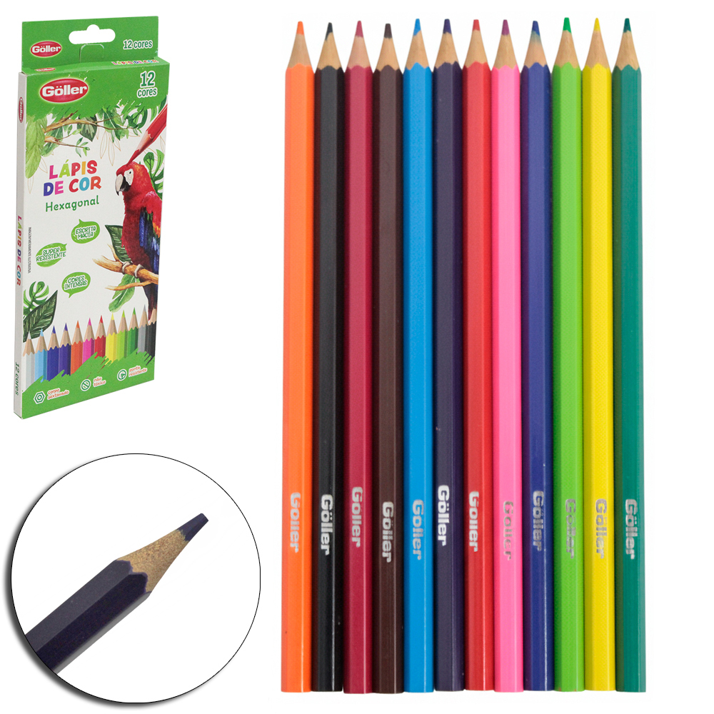 LAPIS DE COR HEXAGONAL COM 12 CORES
