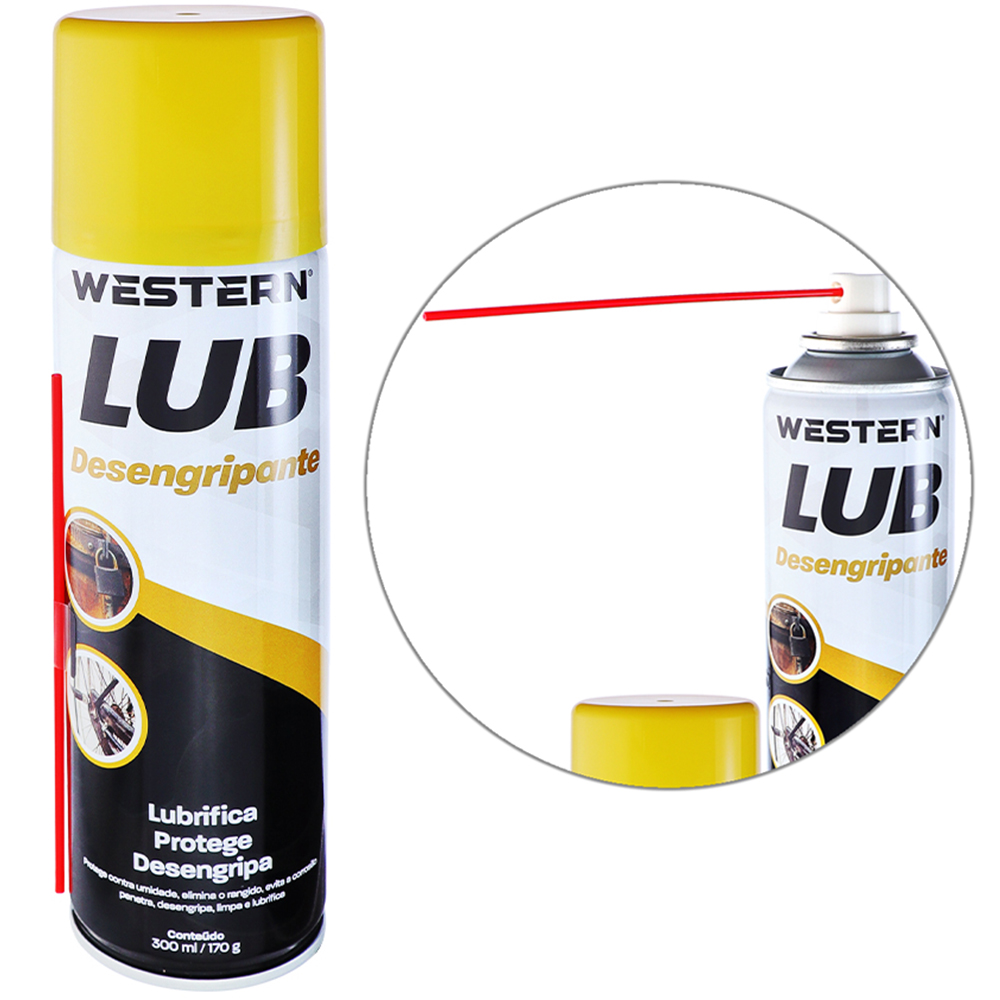 DESENGRIPANTE SPRAY LUB 300ML / 170G 