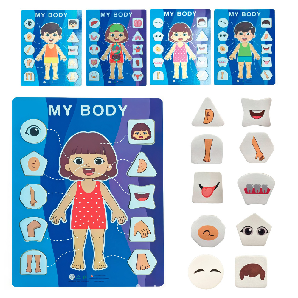 TABULEIRO DIDATICO EDUCATIVO DE ENCAIXE CORPO HUMANO DE MADEIRA 11 PECAS 30X22,5CM