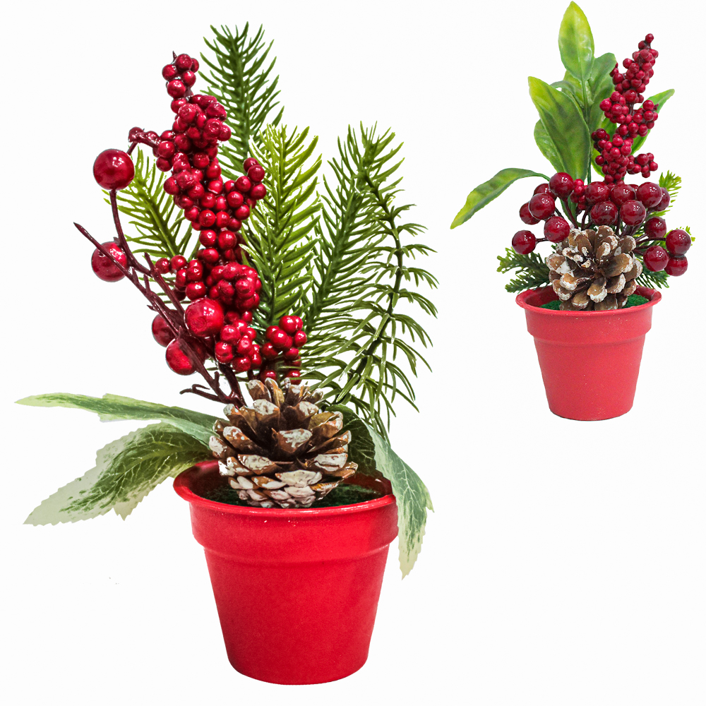 AZEVINHOS + PINHA COM VASO DE PLASTICO REDONDO 20X7,5CM DE Ø